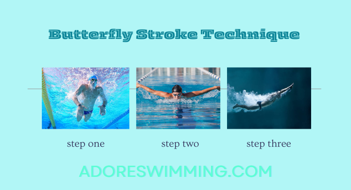 Butterfly Stroke Technique