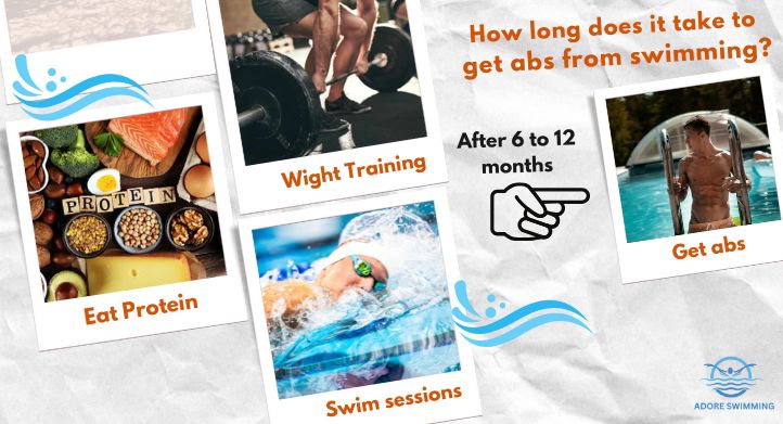How long does it take to get abs from swimming