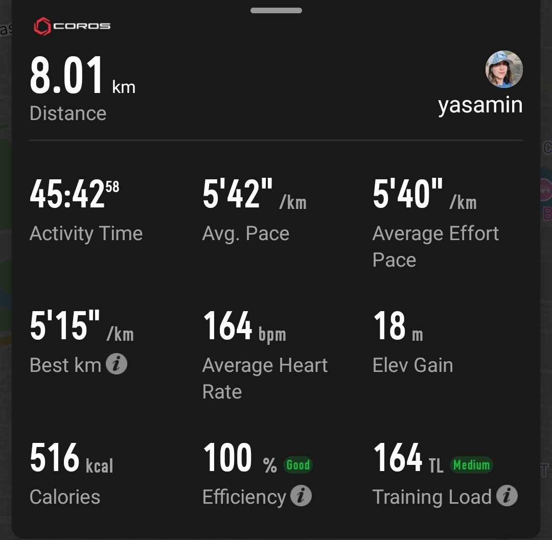 run data recorded on Yasamin Farjadian watch